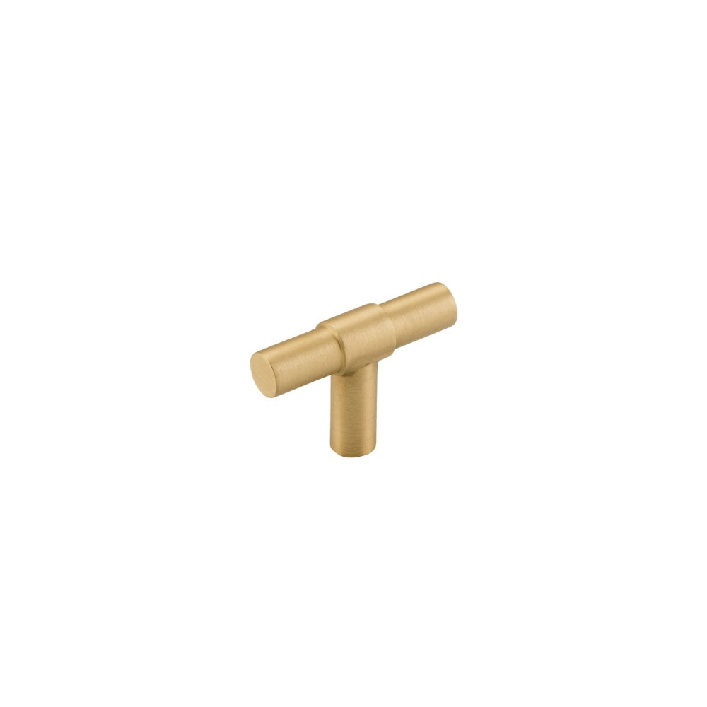 Brass T pull  handle on a white background